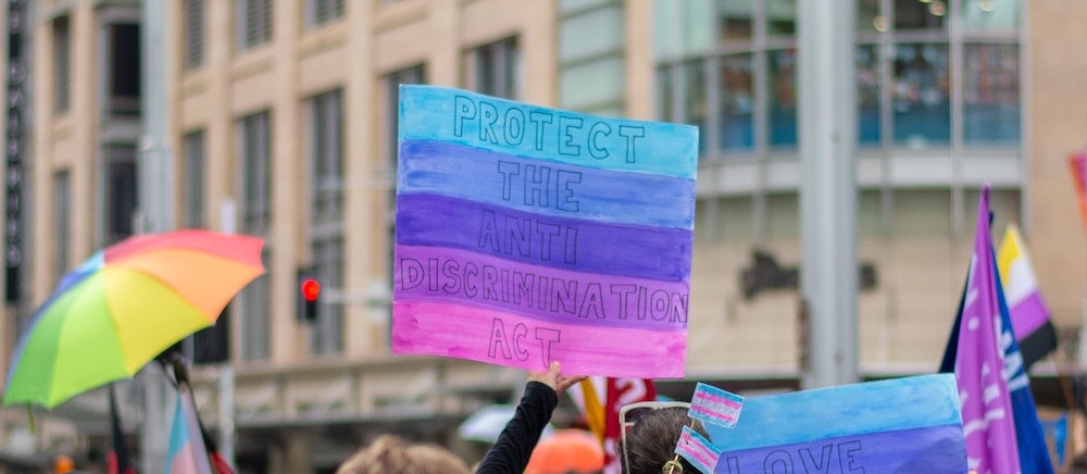 People gather at a bi visibility awareness month march, one protestor holds a sign with the bisexual flag colors that reads "Protect the anti discrimination act".