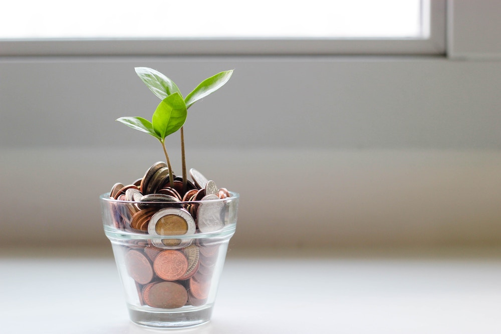 A small sapling grows out of a jar of coins, symbolizing the power of generosity and how to give more, especially to those in need with donations to local charities and nonprofits.