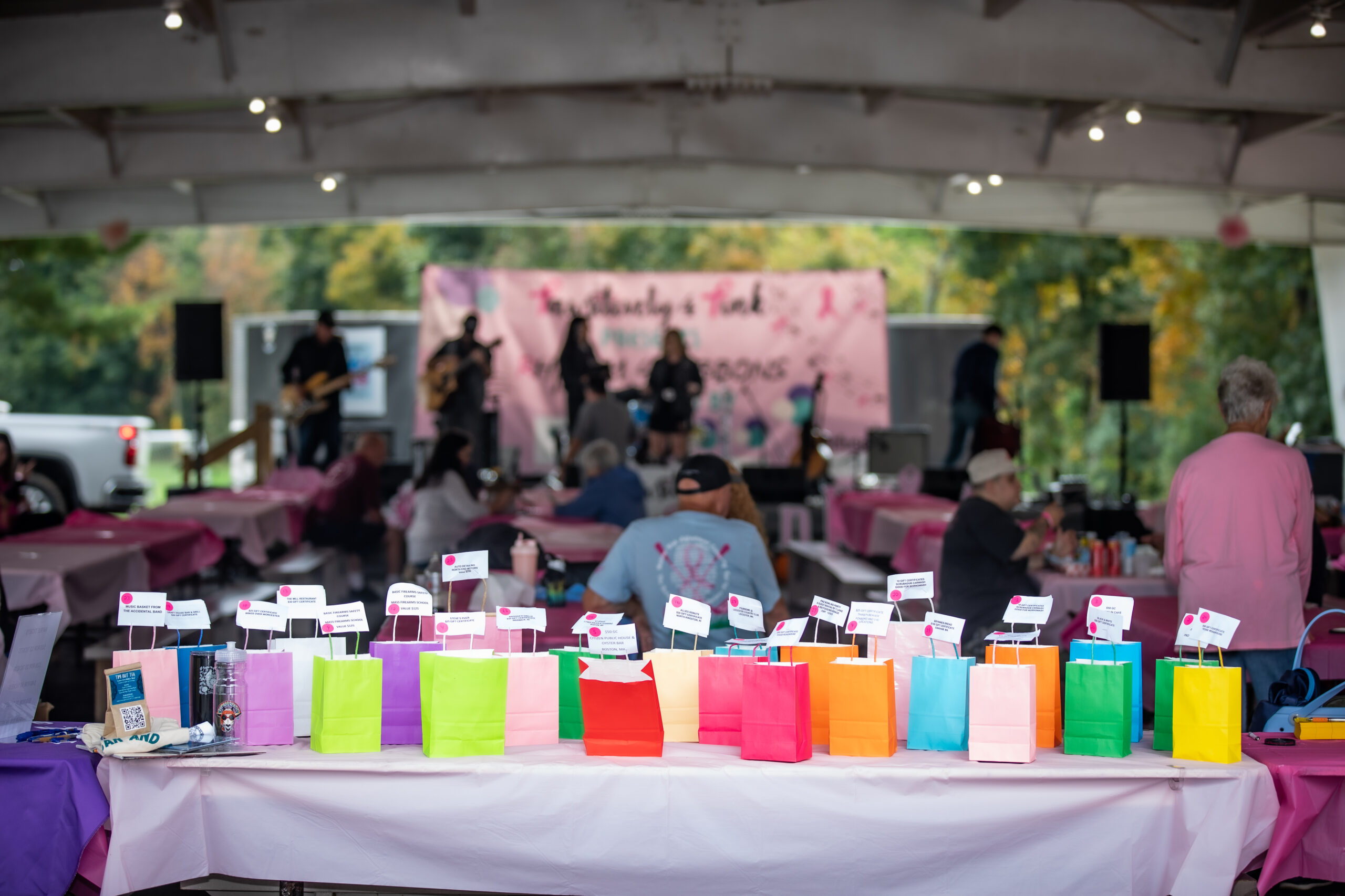 This is an image from local nonprofit, Pawsitively 4 Pink hosting an event to raise money for women with breast cancer in Worcester, MA.