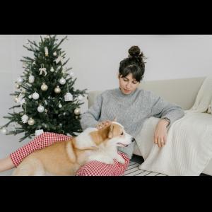 Cozy scene of a woman relaxing by a beautifully decorated Christmas tree with her dog, enjoying self-care and holiday warmth. Perfect holiday vibes with festive decor and pet companionship.