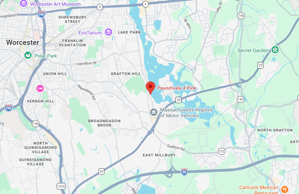Pawsitively 4 Pink's location on Google Maps